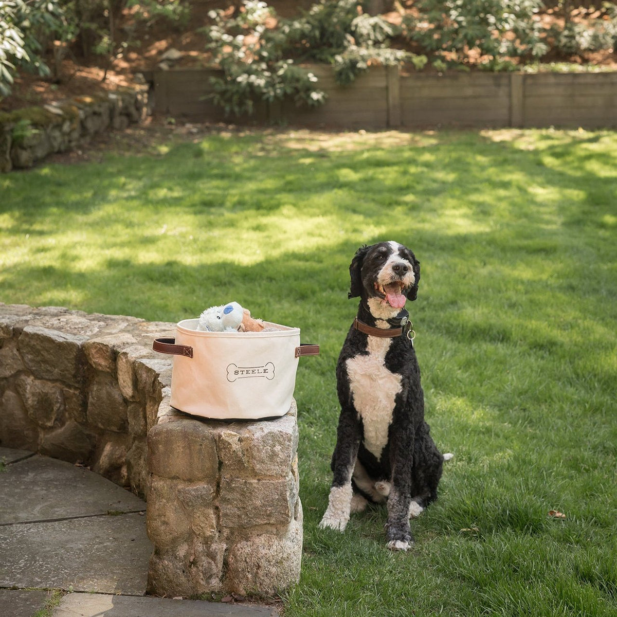 Dog Toy Basket