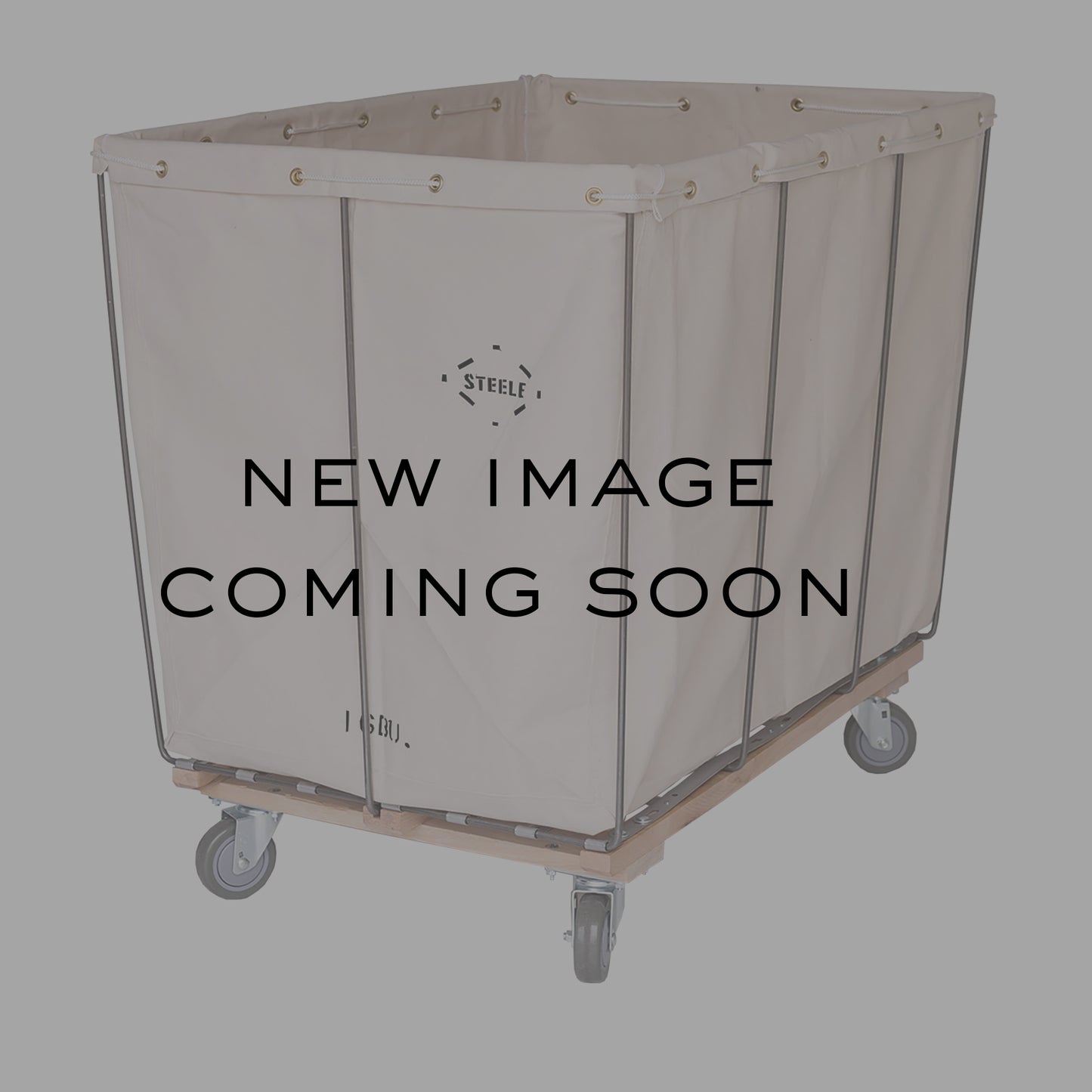 18 Bushel Removable Style Bulk Truck