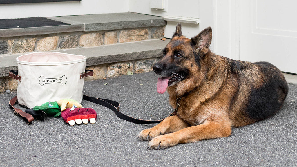 Gifts for Dog Owners