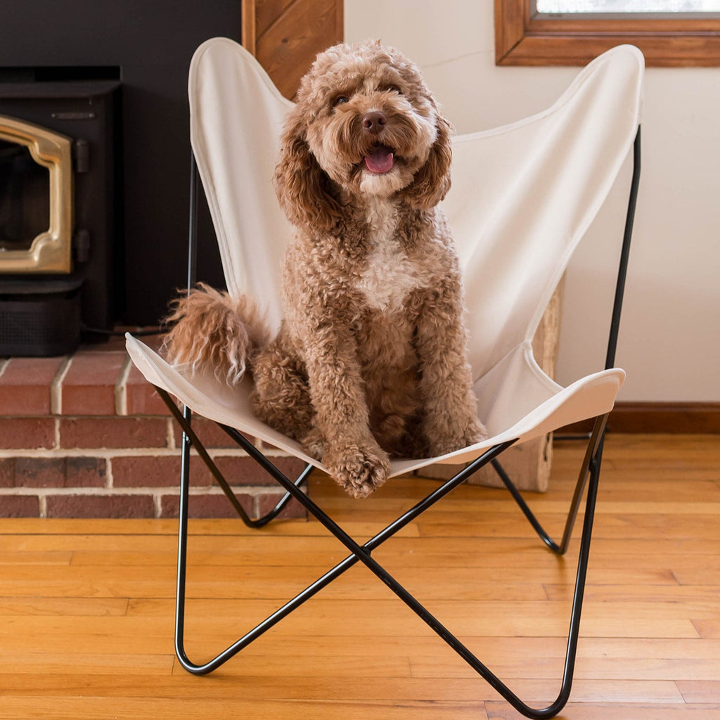 Adult Sling Chairs