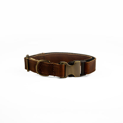Dog Collar