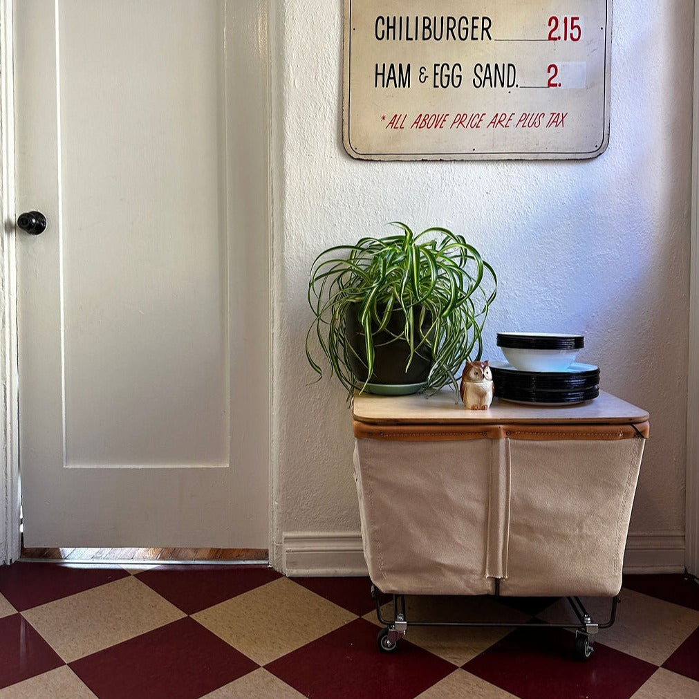 Storage & Organization  (2)