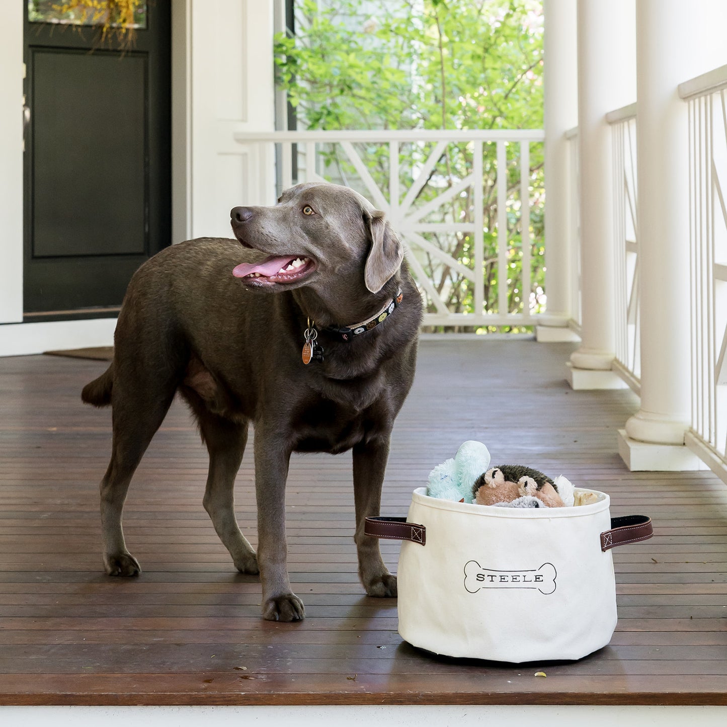 Dog Toy Basket